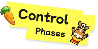 Control Phases