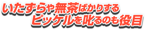 いたずらや無茶ばかりするピッケルを叱るのも役目